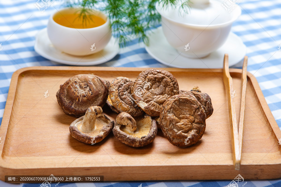 香菇菌