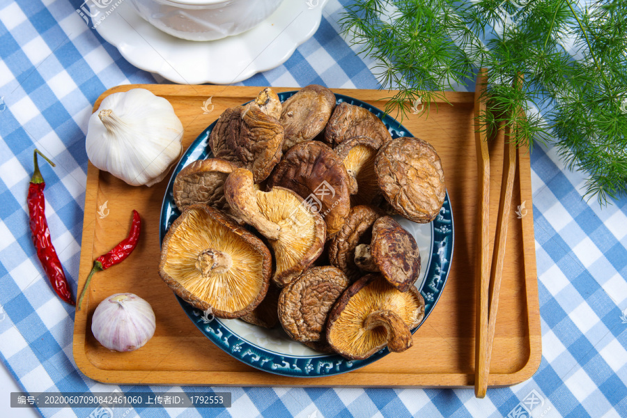 香菇菌
