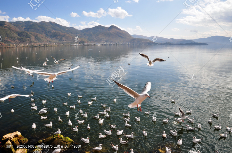 大理洱海风景区