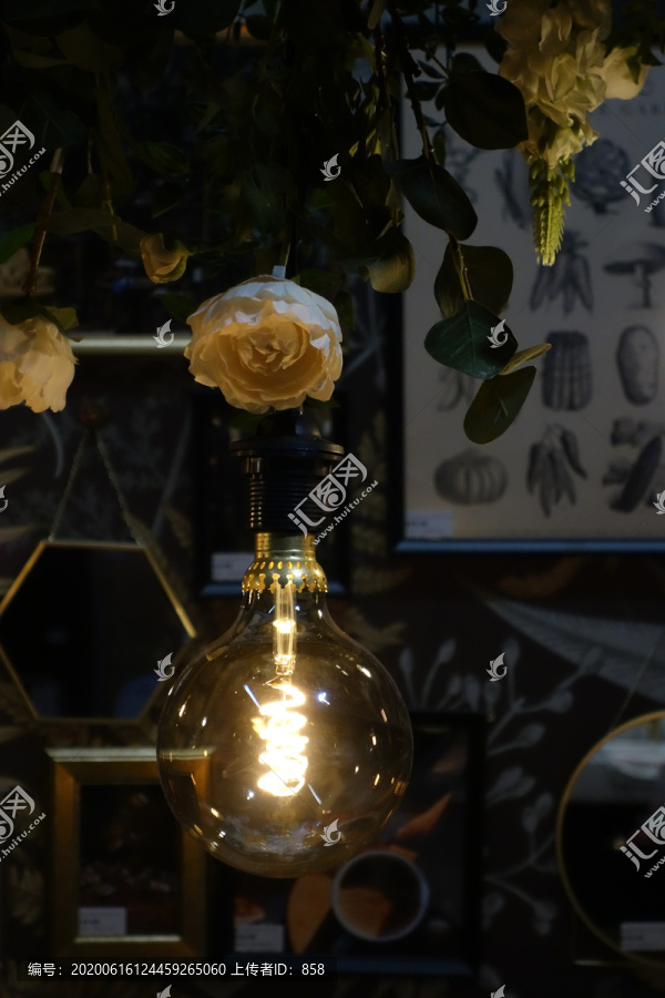 灯泡和花