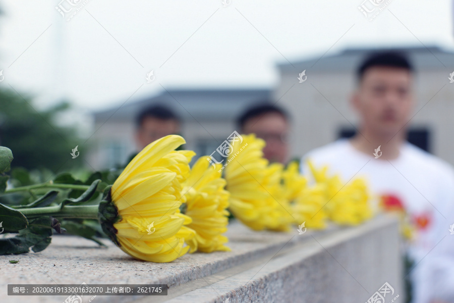 清明菊花祭英烈