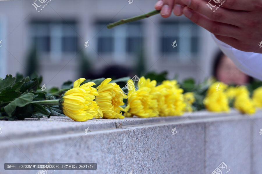 清明菊花祭英烈