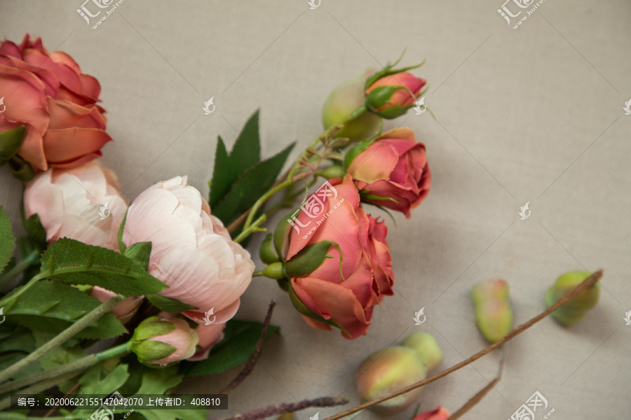 秋红玫瑰和陆莲花朵