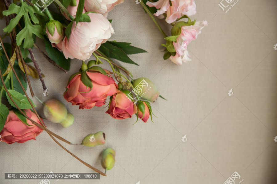 秋红玫瑰和陆莲花朵