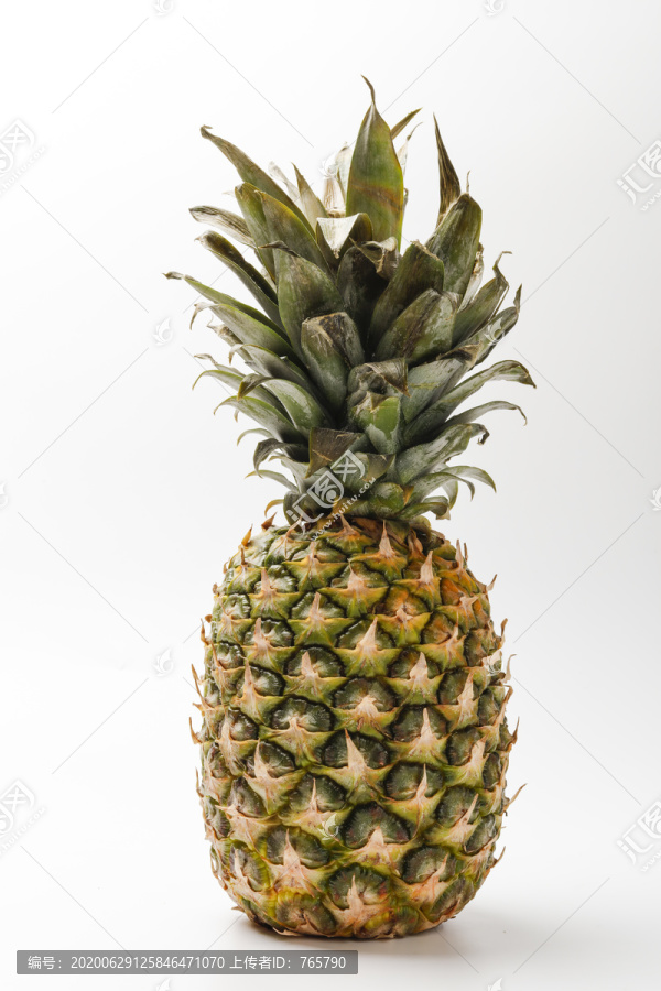 白色背景上一个菠萝