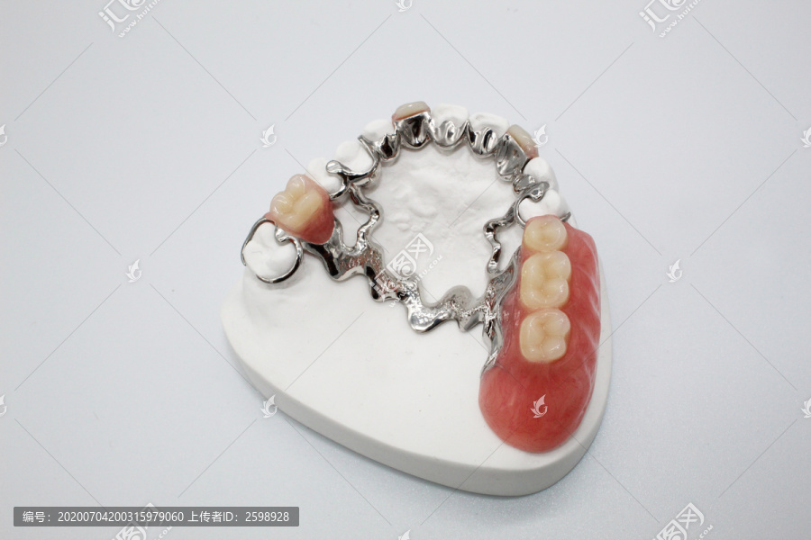假牙牙齿模型