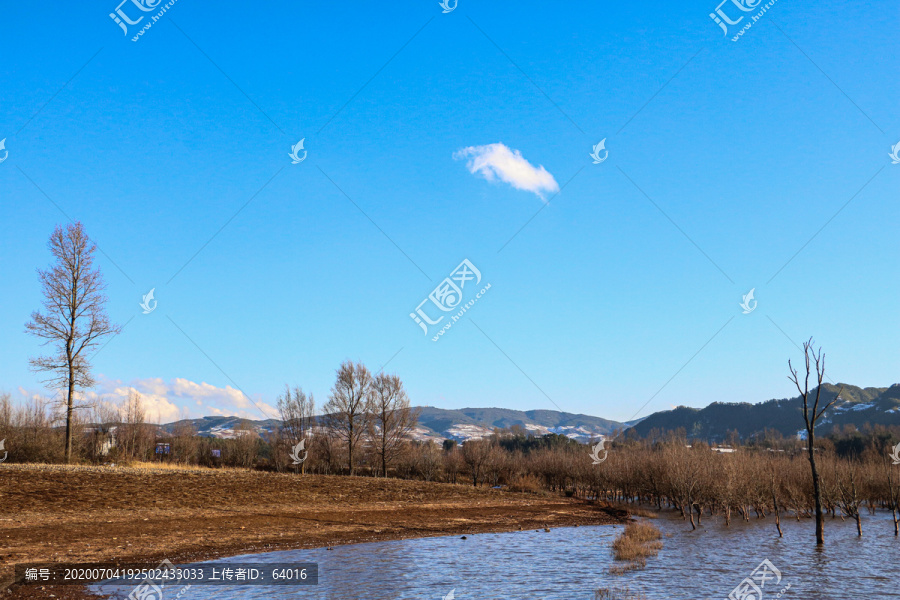 湿地风景