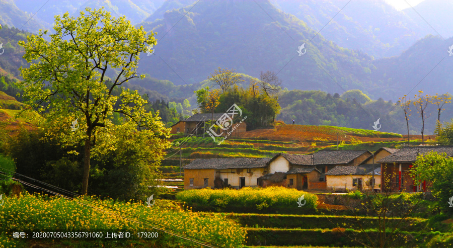 中峰风景BO