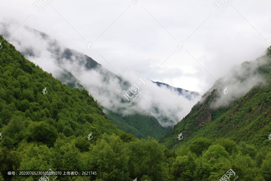 西藏拉姆拉措湿地公园高山云雾