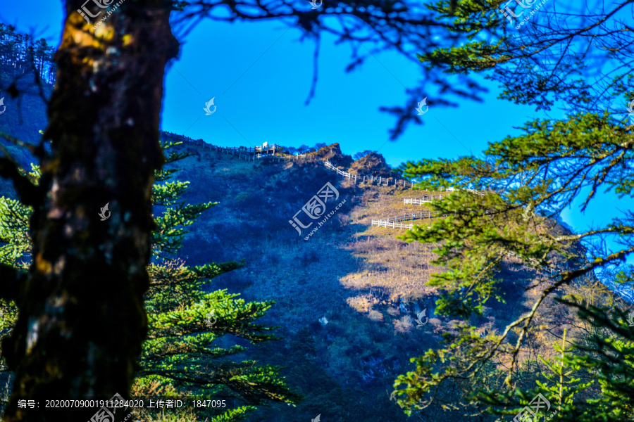 西岭雪山