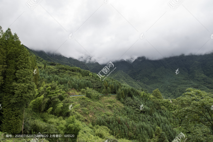 树林森林1绿水青山