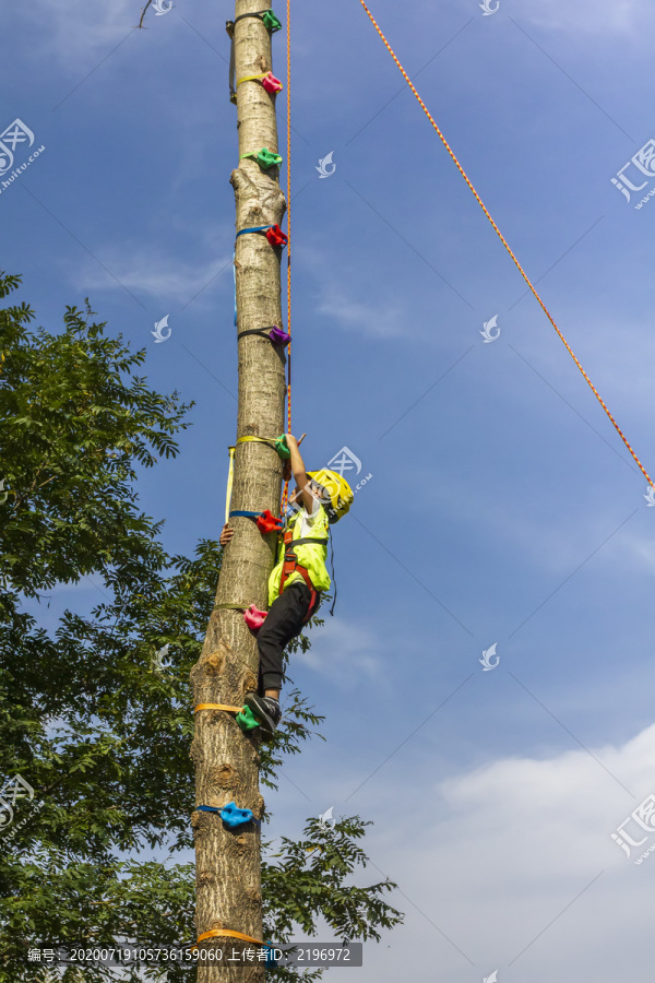 户外运动儿童向上攀爬树干