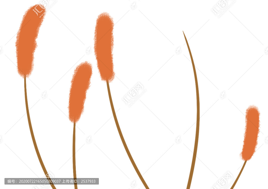 原创手绘可爱卡通橘色芦苇植物
