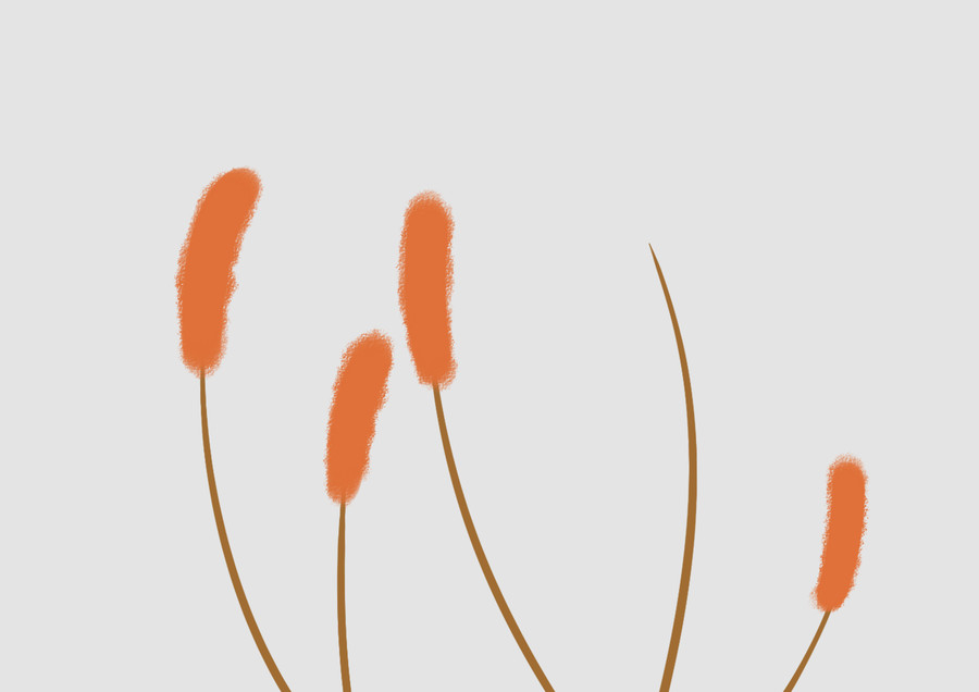原创手绘可爱卡通橘色芦苇植物