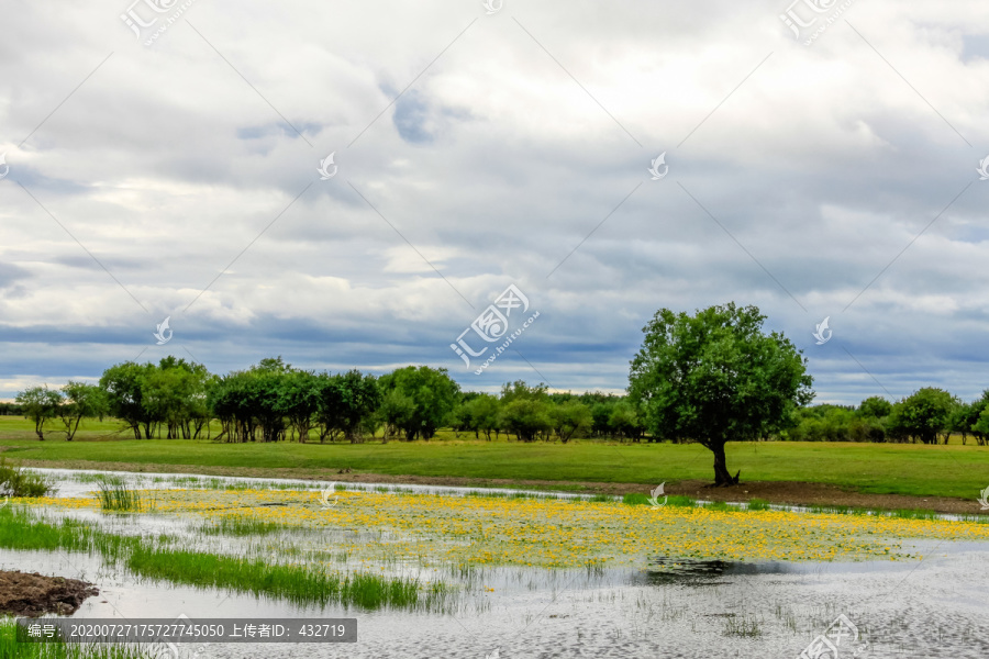 湿地草原河流