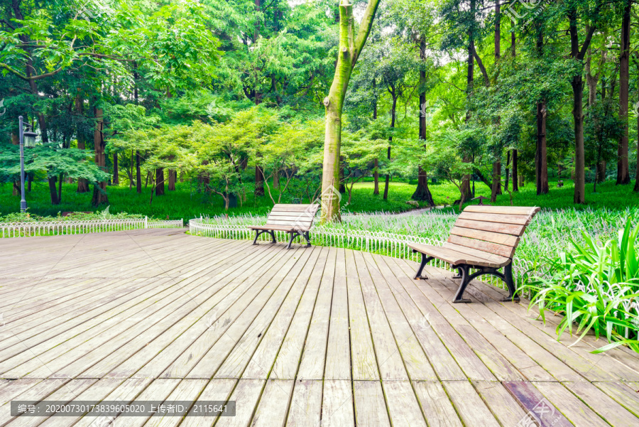 公园景观树林中木板平台与休息椅