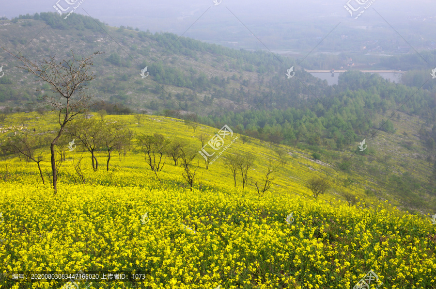 四月丰山岭