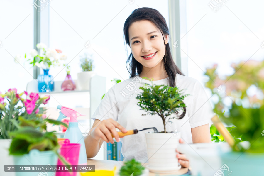 年轻女子在家种植盆栽