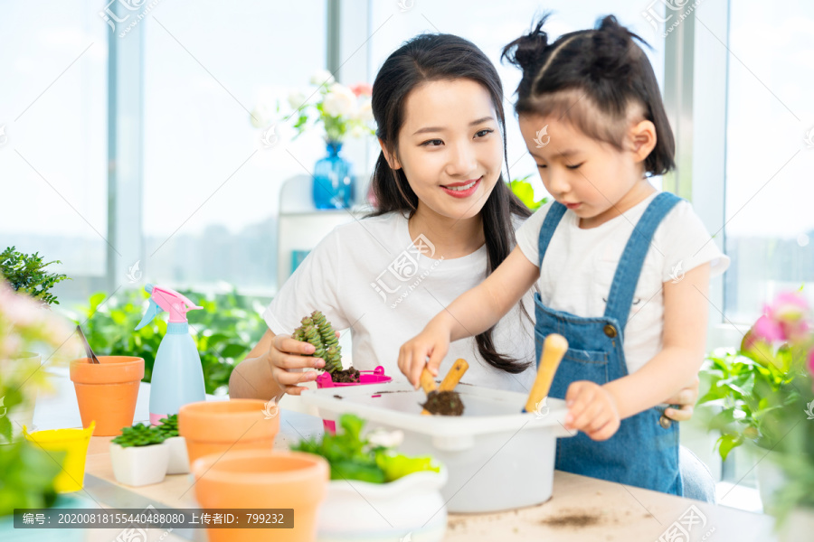 快乐的母女俩在家种植盆栽