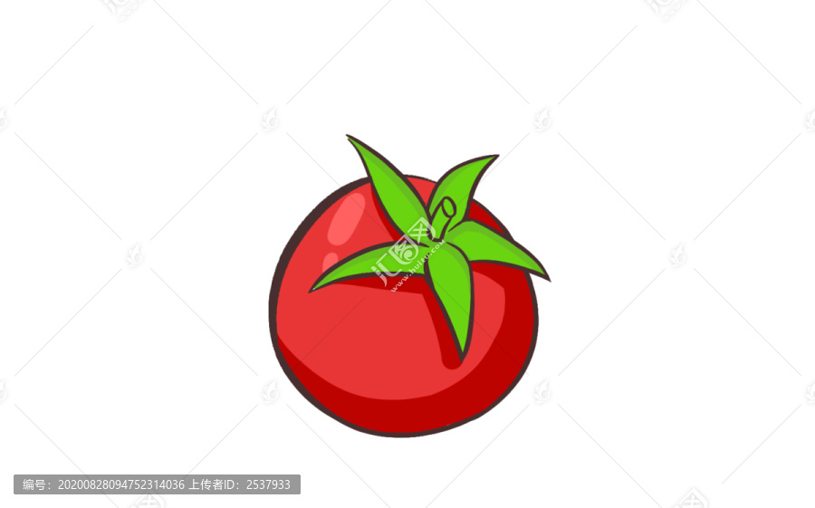 手绘扁平勾线熟透的番茄西红柿