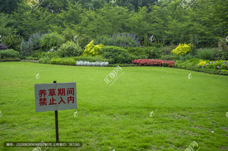 城市公园草坪养护