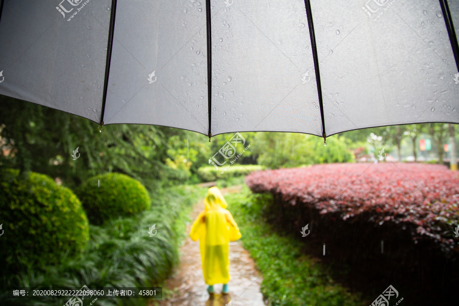 下雨中