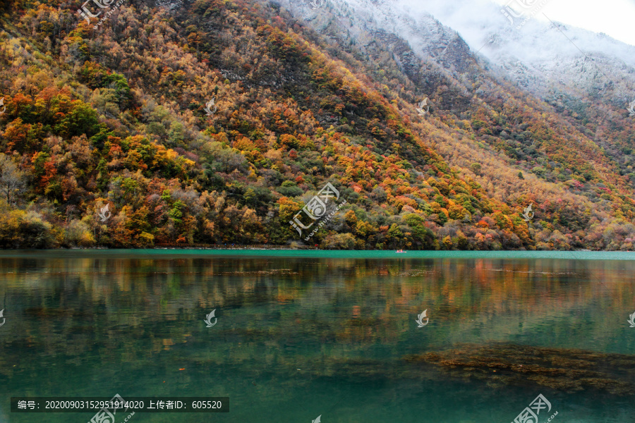 阿坝州秋色彩林蓝天白云湖水