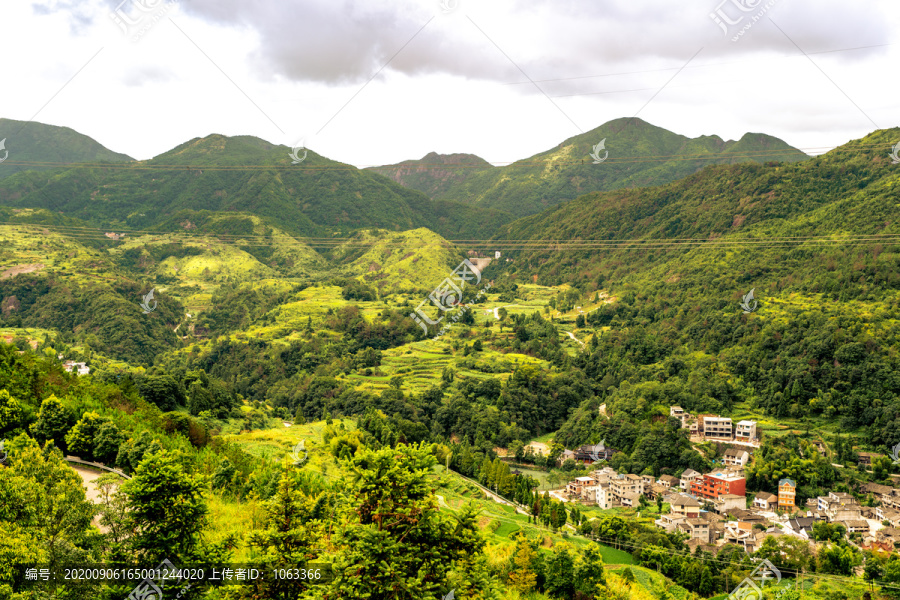 山中村庄