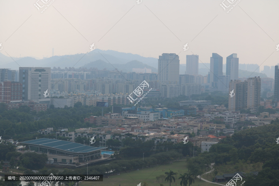 中山市紫马岭公园动物和风景图片