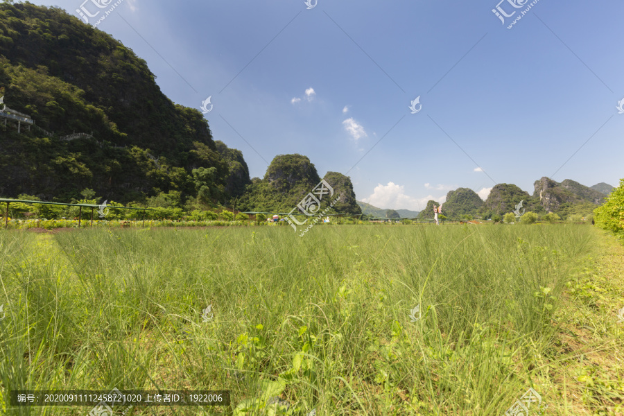 九龙峰林小镇景区绿色植被