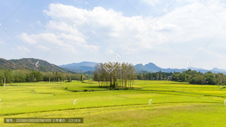 乡村田园风格航拍