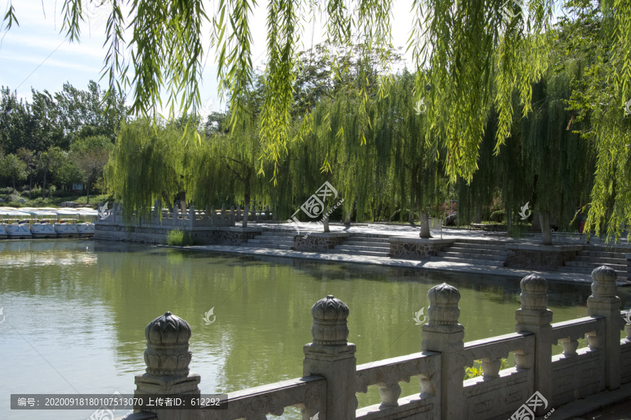 静谧湖边风景