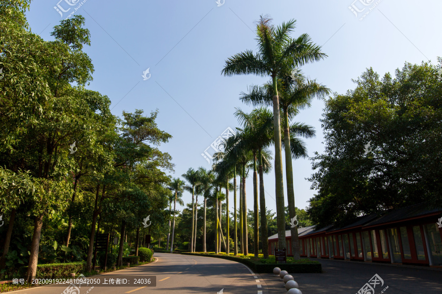 广东湛江湖光岩风景区景区道路