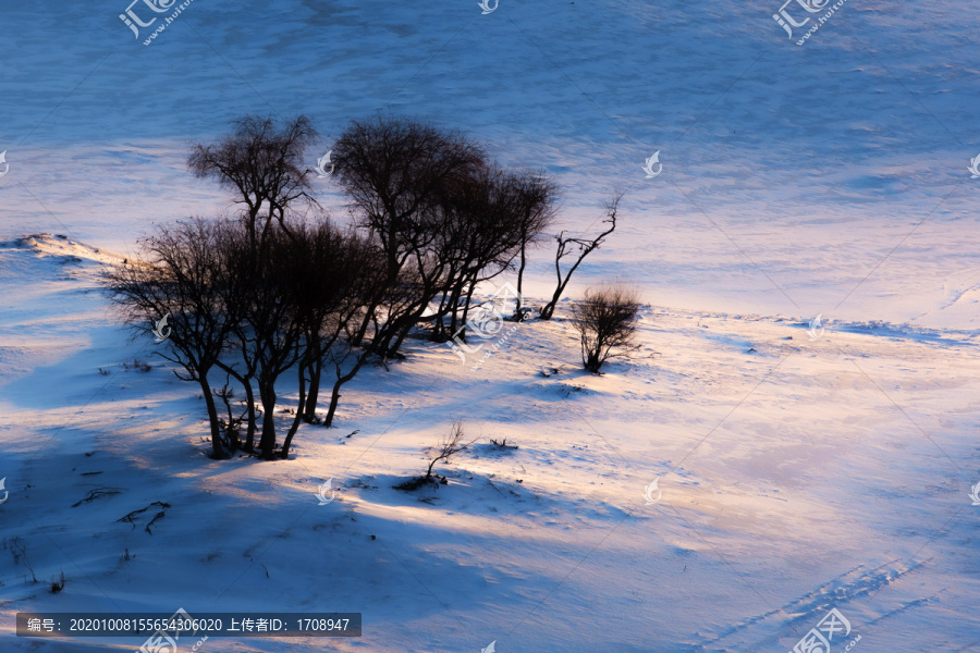 雪域