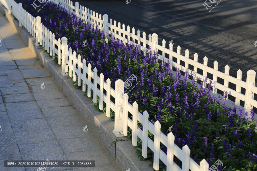 路边花坛