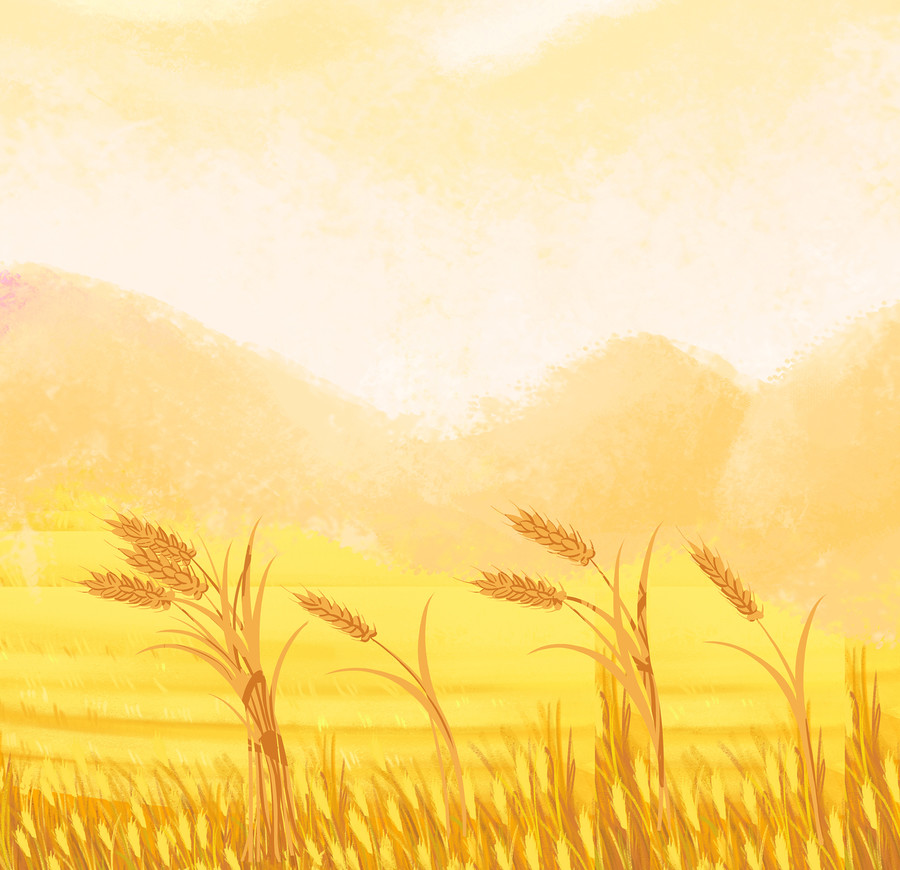 手绘写实秋季小麦丰收场景插画
