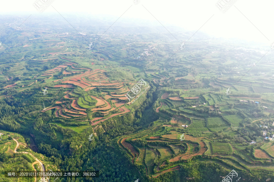 俯瞰田野