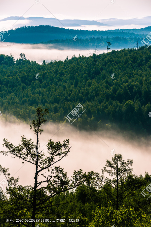山峦云雾森林