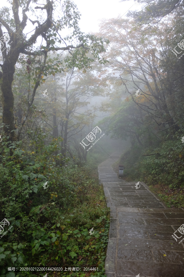 雨中峨眉