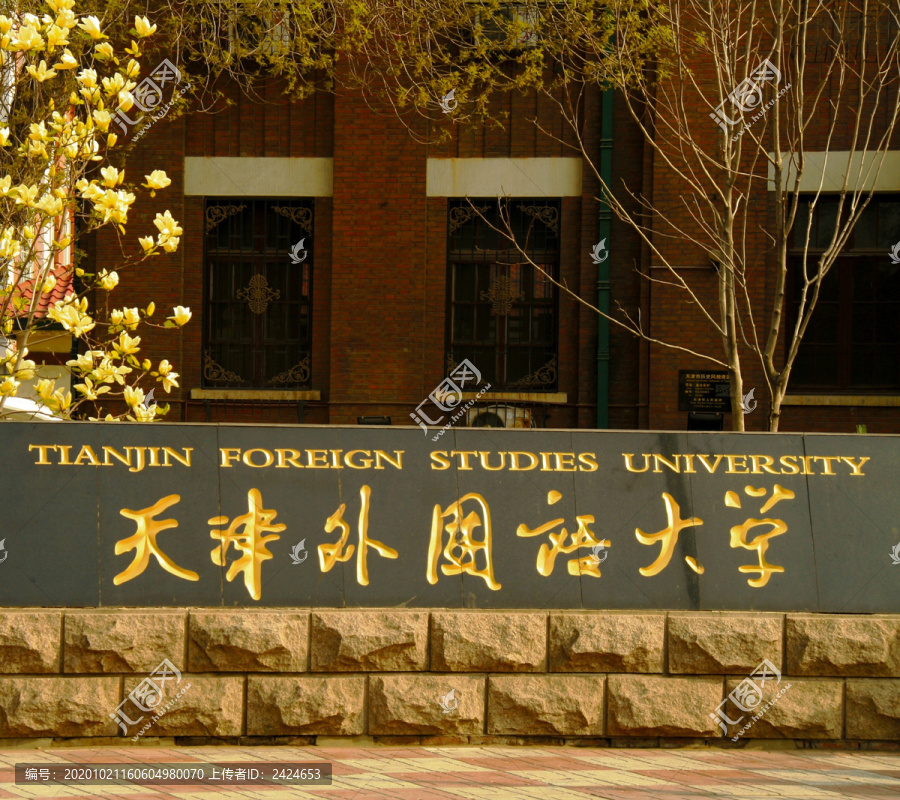 大学