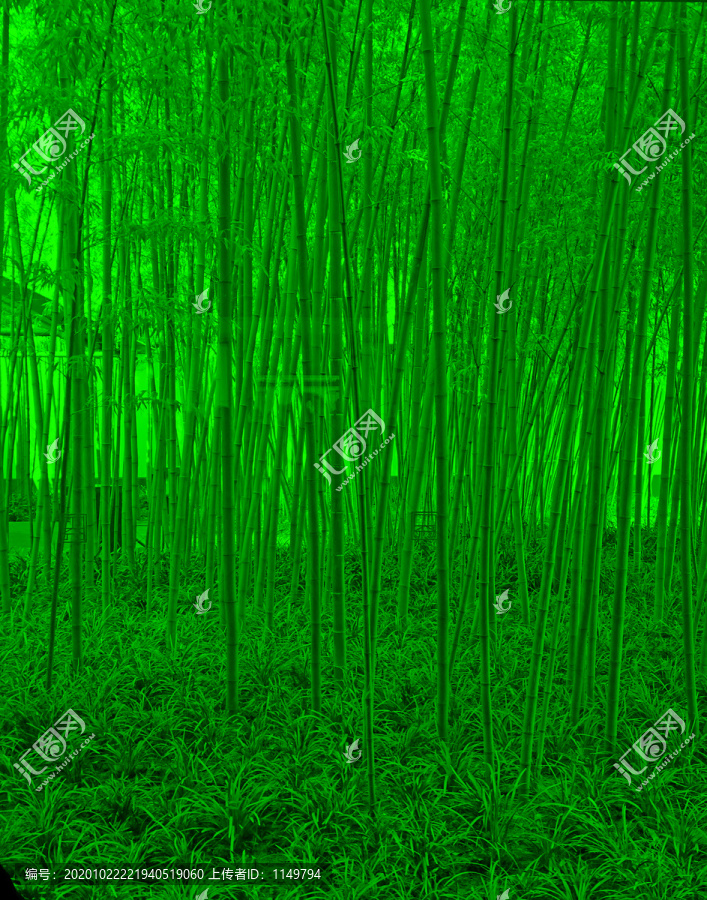 绿竹林