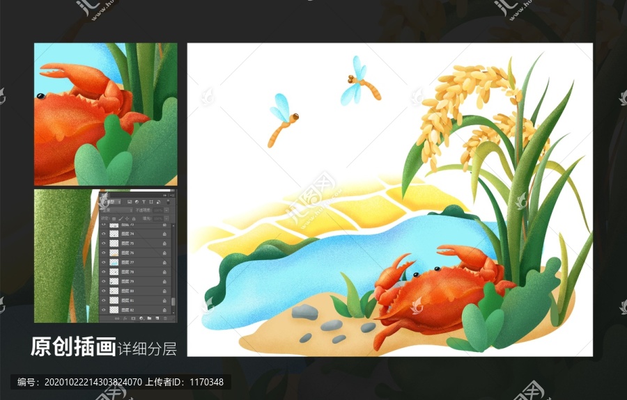 水稻螃蟹农田插画