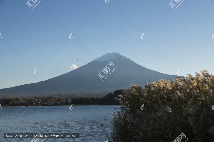 富士山