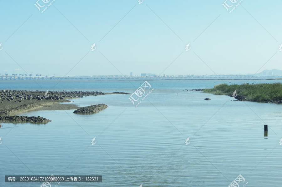 河流出海口风景