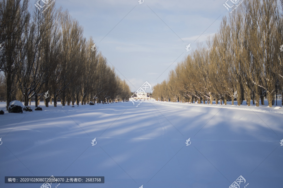 雪地