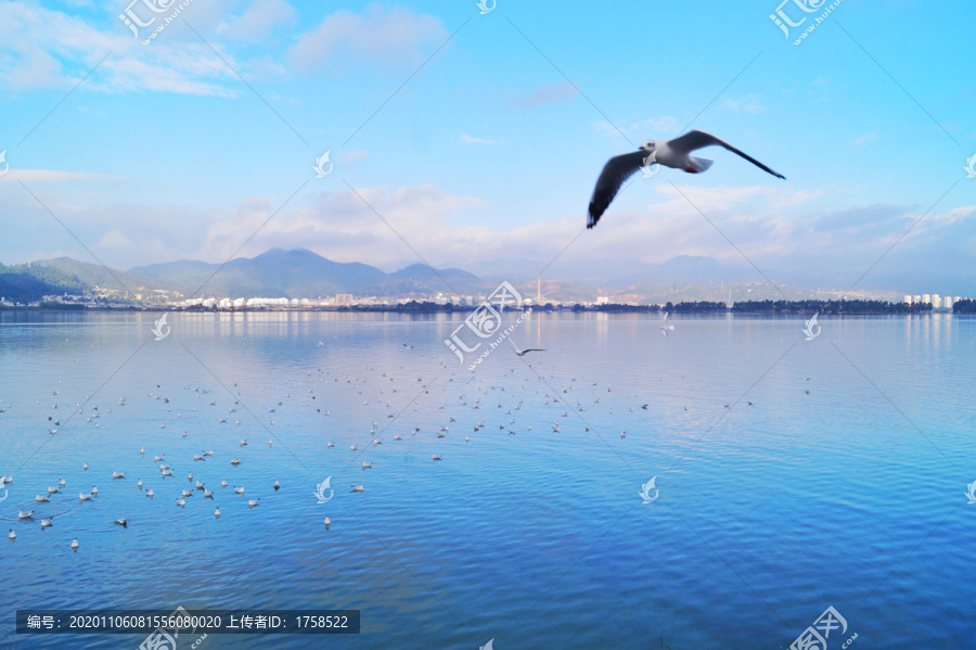 昆明滇池海埂公园