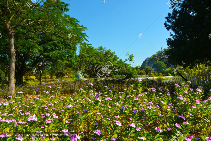 蒲州花园景色