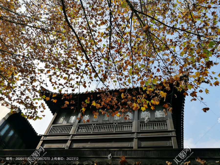 秋色下的中式园林建筑
