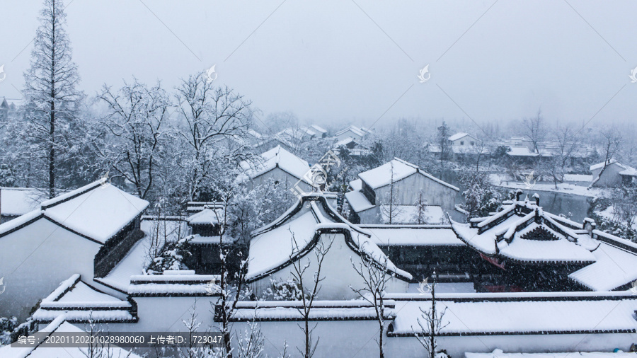 西溪雪韵