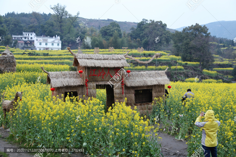 春到江岭